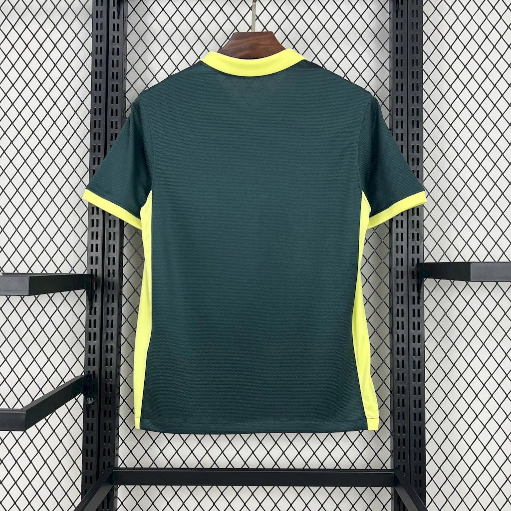 2024/2025 Barcelona Special Edition Green Football Shirt 1:1 Thai Quality