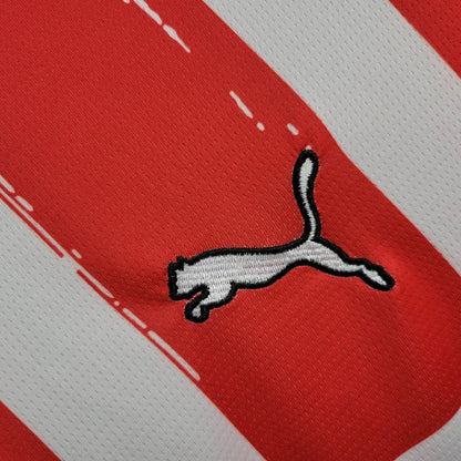 2024/2025 Eindhoven Home Football Shirt 1:1 Thai Quality